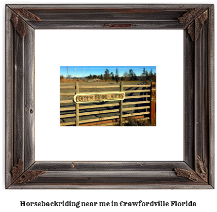 horseback riding near me in Crawfordville, Florida